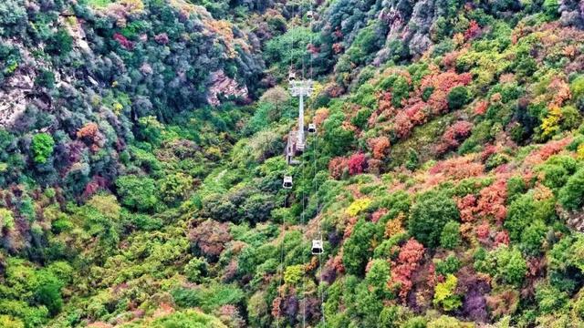 错过再等一年！华山红叶已到最佳期！
