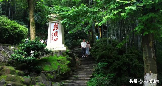 免费！折扣！韶山暑期福利来袭