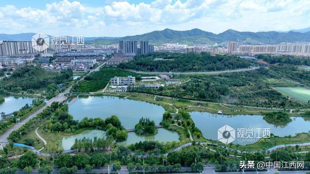 分宜：湿地公园生态美