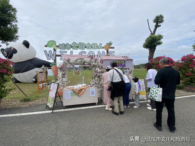 赏花正当时｜万花齐放！武汉这片金色进入最佳观赏期！