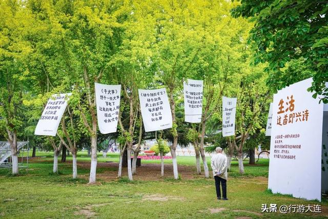 大连这些街区，假期上新！