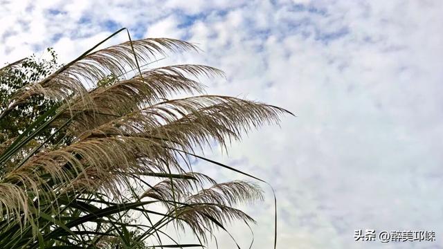 走，去经开区寻一抹秋色！