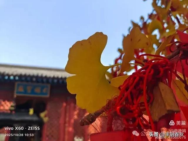 青岛大珠山记：从石门寺到拜佛台的云端巡礼｜ 申艳娟