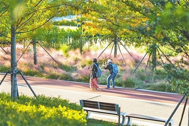 绿道漫步、体育场健身、儿童乐园遛娃……青岛张村河生态绿廊成新晋宝藏休闲游玩地