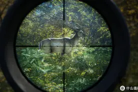 一杯茶一包烟，一只麋鹿追一天！steam秋促10款游戏推荐图片