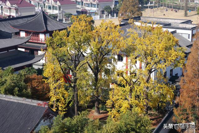 上海：嘉定安亭永安塔俯瞰老街古镇秋色如画