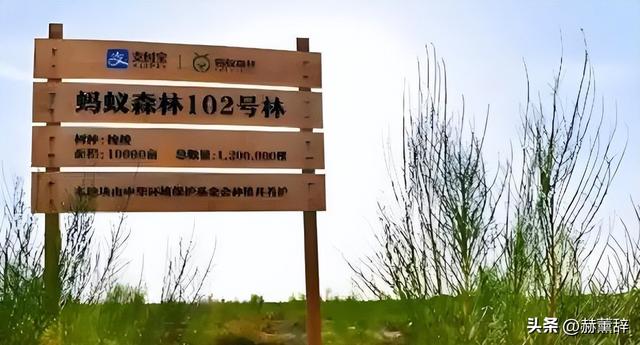 马云现身蚂蚁森林，大口吃西瓜，现场杂草丛生，跟2016年对比明显