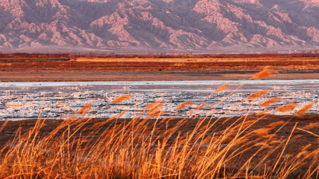 冬日奇观！落日流凌为黄河披上幻彩霓裳