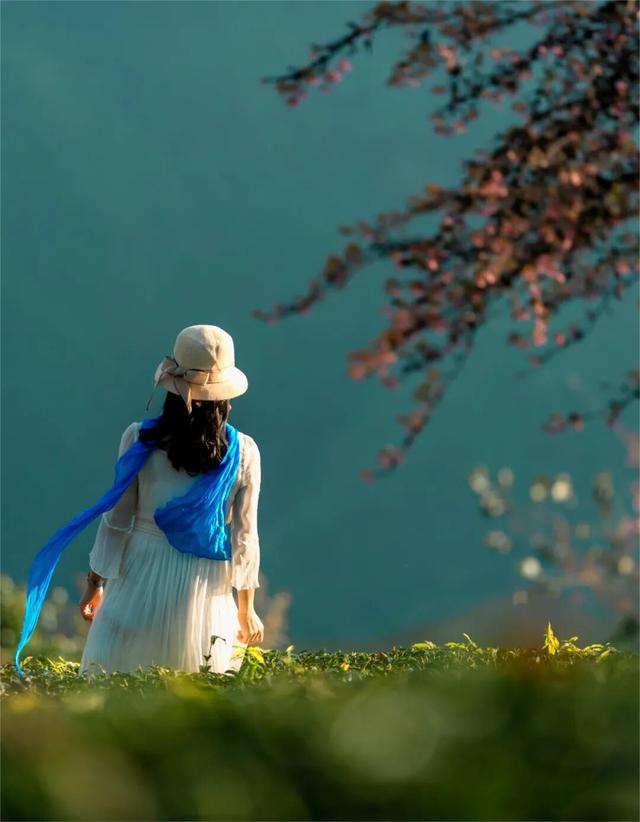 均温25℃，游客仅大理1%！云南这座小城，只有冬天才会被想起