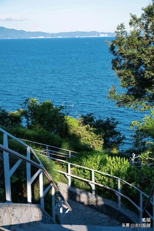 近千骑友盐田狂飙后，这份骑行指南藏不住了