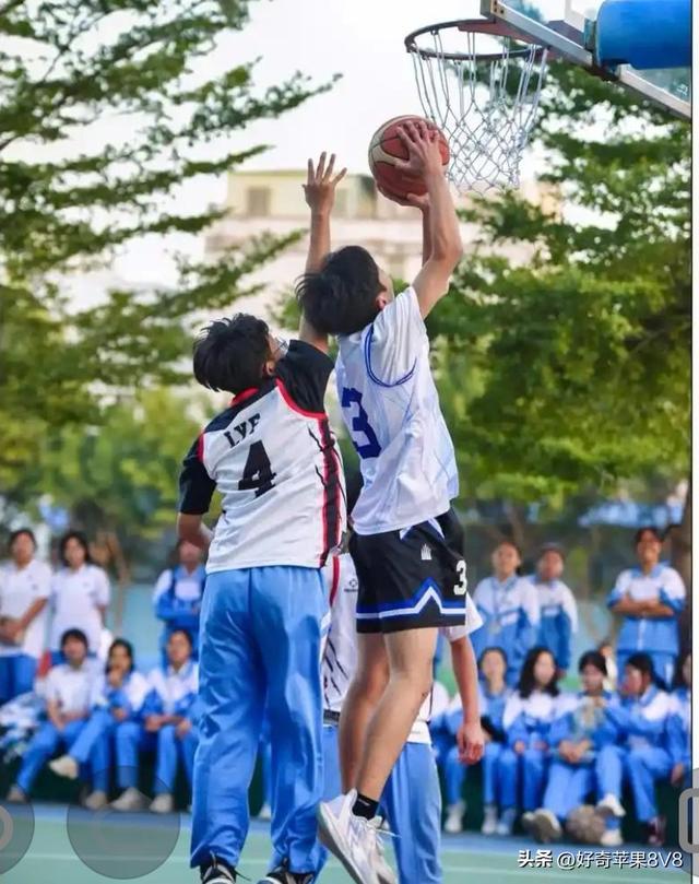 孩子，你知道什么是“蓝鸟效应”吗？