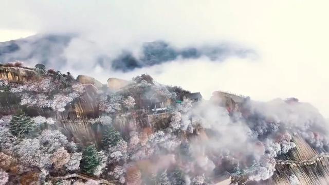 华山雪落，一脚踏进水墨仙境