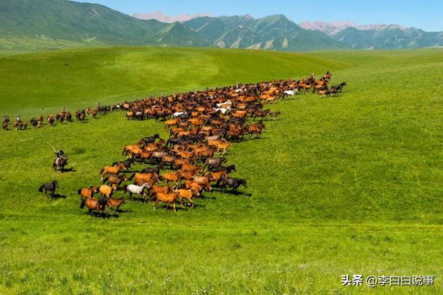 张掖:丝路明珠,多彩甘州