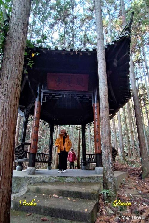 影记 | 衢州钱江源国家森林公园