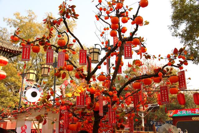 长安一片月 千载照诗心——一座古都的盛世回响与诗意新生