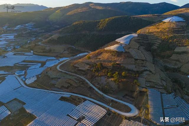 如果你正在大理摆烂,这条被果园包围的乡村小道很值得去跑一跑