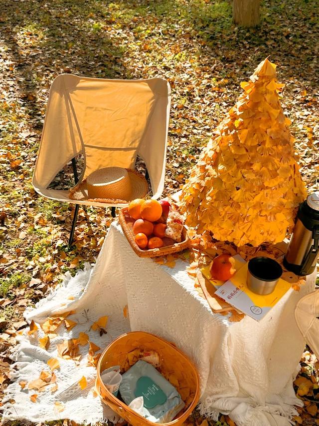 西安周末游丨这8个免费赏银杏叶好去处