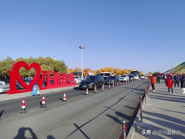 额济纳旗胡杨林