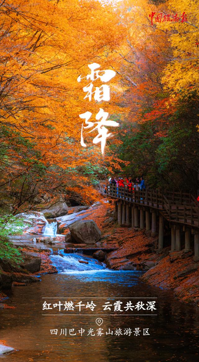 霜降丨收尽秋光惊艳色 静候冬日好时光