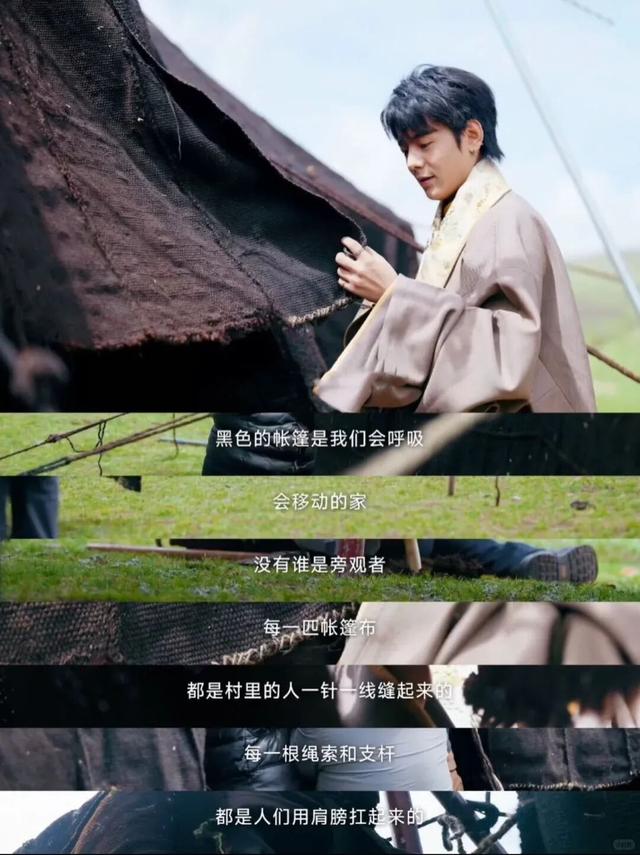90%人没听过的香巴拉秘境，是最爱猫的咪咪痛城