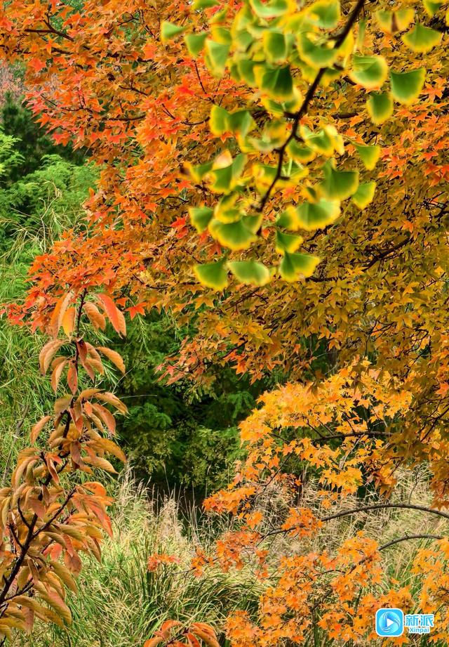 浞景无边，快乐亦无边~