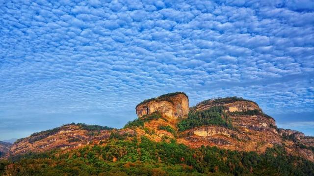 快来抱抱~ | Welcome to 疯狂·武夷山·动物城