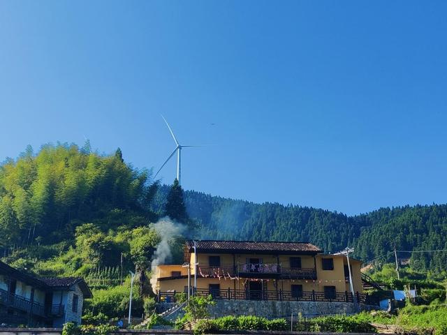 江西永丰：八树银杏的红色印记