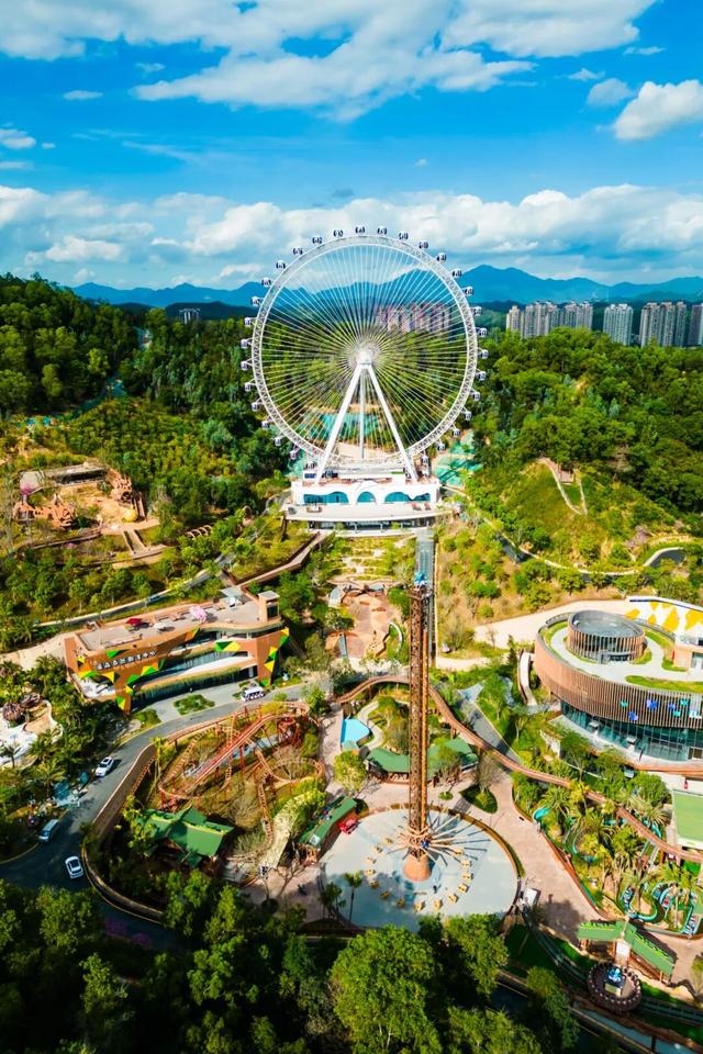 🤳原来秋天的龙岗，要这么追……