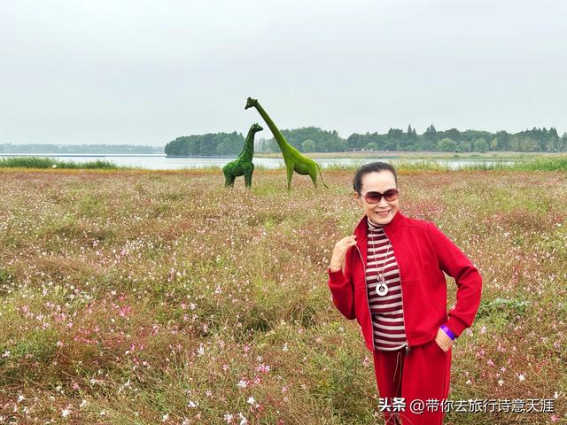 南京高淳固城湖水慢城风光