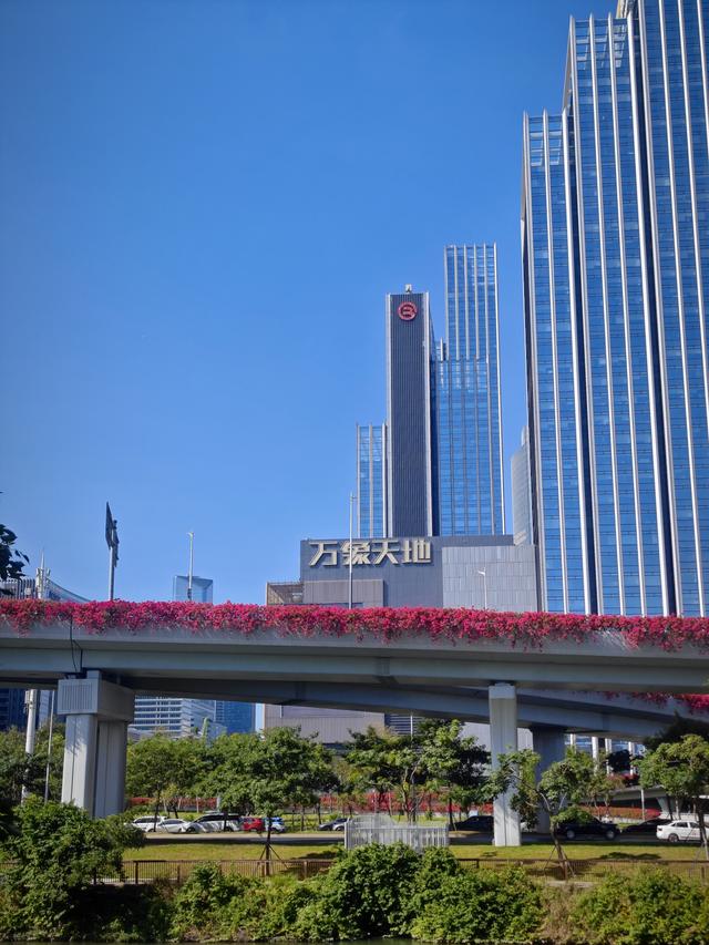 从学苑大道入大沙河绿过大学城后进深圳弯公园流花山景点【高清】