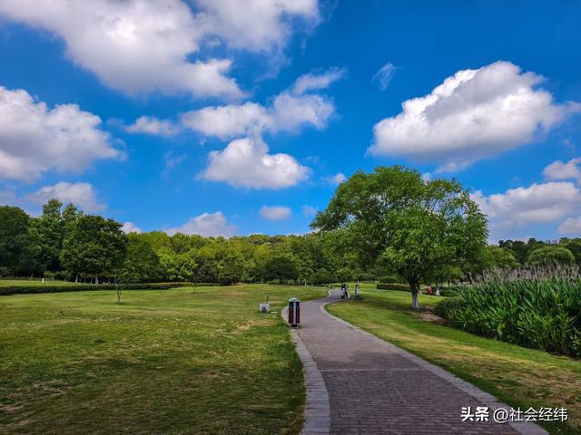 中山陵畔藏绿意：博爱园里，读懂 “天下为公” 的城市温度