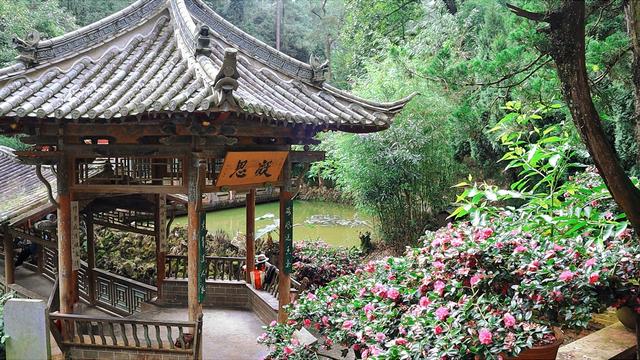 明代白龙寺，徐霞客到此一游，百年茶花，白龙盘锯而成潭