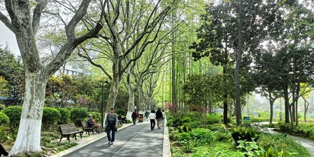 和平公园大变样，动物园没了，现在更高级了，虹口越来越好了