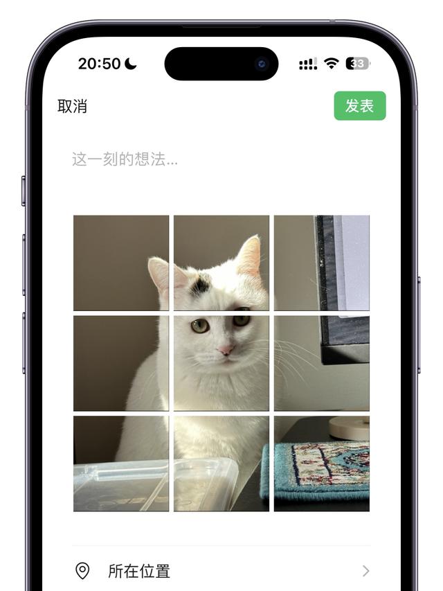 这4个iPhone快捷指令，比App更好用