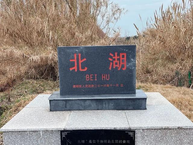 魔都私藏的15片湖泊，99%人错过的水色秘境！周末安排~