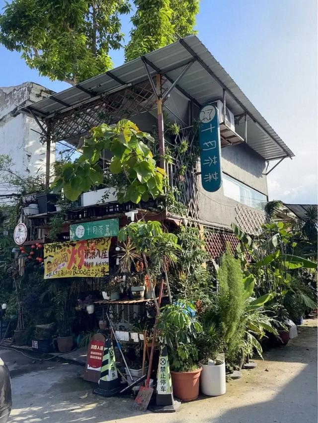 湛江治愈系角落，治好了年轻人的精神内耗！