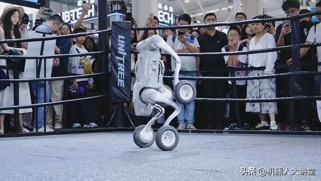 宇树科技最全产品线家族同台亮相引爆2025 WRC