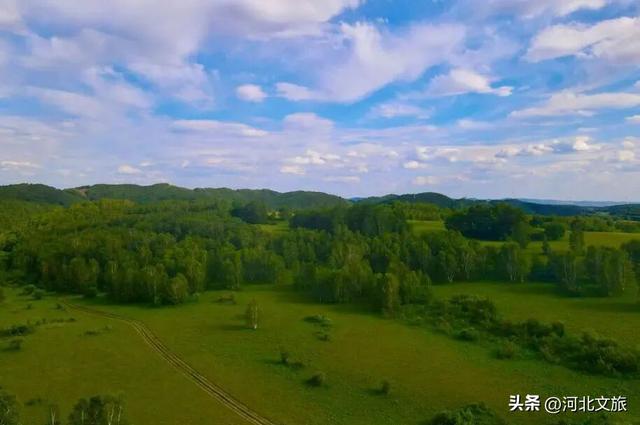 河北到底哪里美 | 畅玩河北坝上之承德围场篇