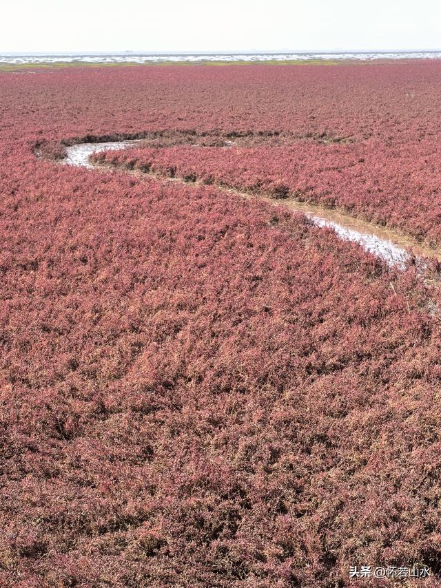 2025辽宁赏秋之旅日记(5)——从本溪前往盘锦 游览红海滩景观