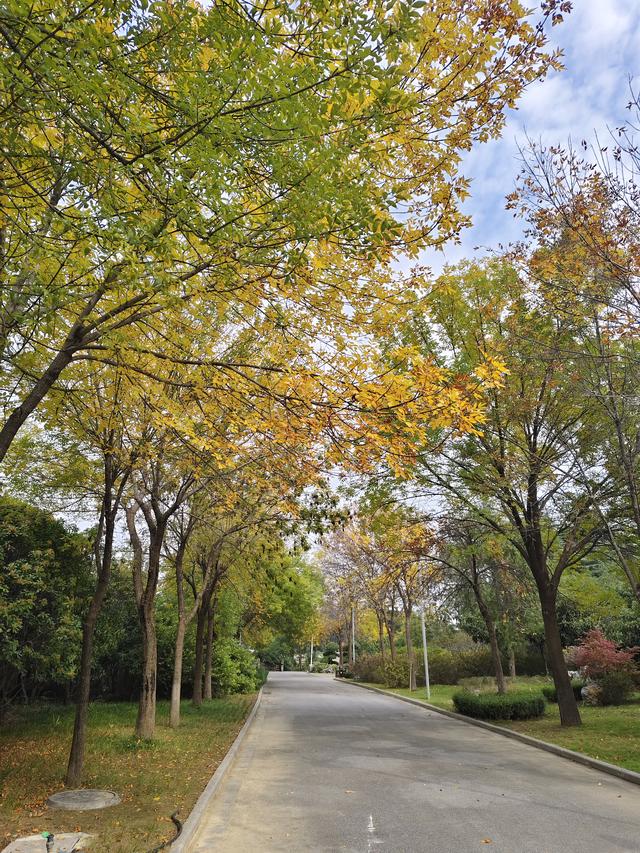 徒步穿越西流湖，赏秋正当时