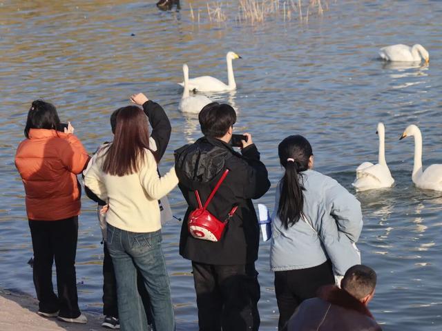 冬日周六晴好，邂逅热闹苍龙湖