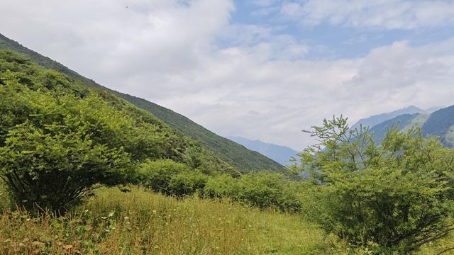 巴朗山盛夏行：把疲惫踩进大自然，让清风装满行囊​