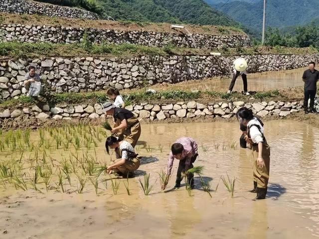 太白：旅游避暑季热潮为文旅商体融合注入新活力