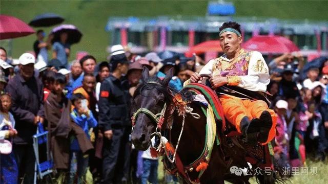 温州直飞红原，大草原打卡“雅克音乐节”！