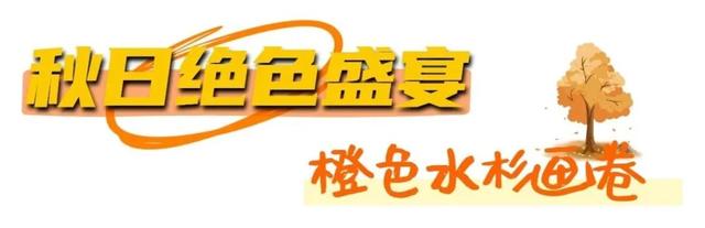 烟台秋日绝色盛宴筹备中，走！寻秋去！