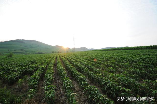 边陲小城临江： 四保临江发生地 与朝鲜隔江而望 肉眼可见对面的军营