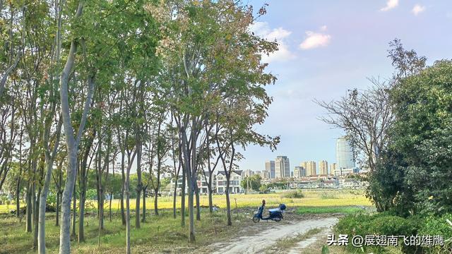 《我家住在吴淞江畔旁》