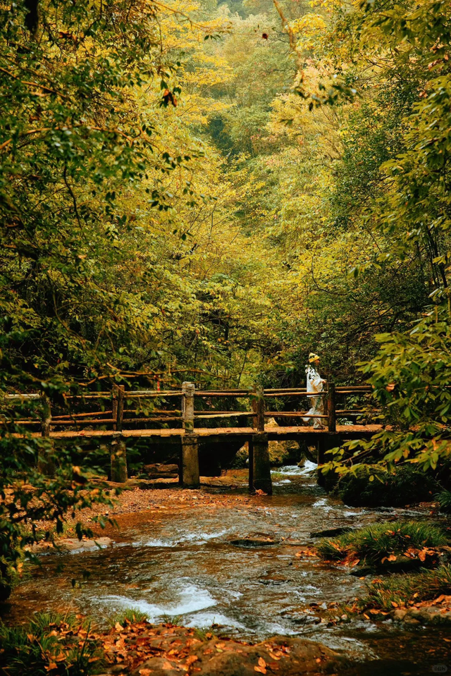 神图有了！在龙苍沟，出片还不是手拿把掐