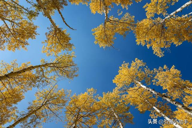佳能的“标志性套头”——RF 24-105mm f/4L IS USM 镜头评测