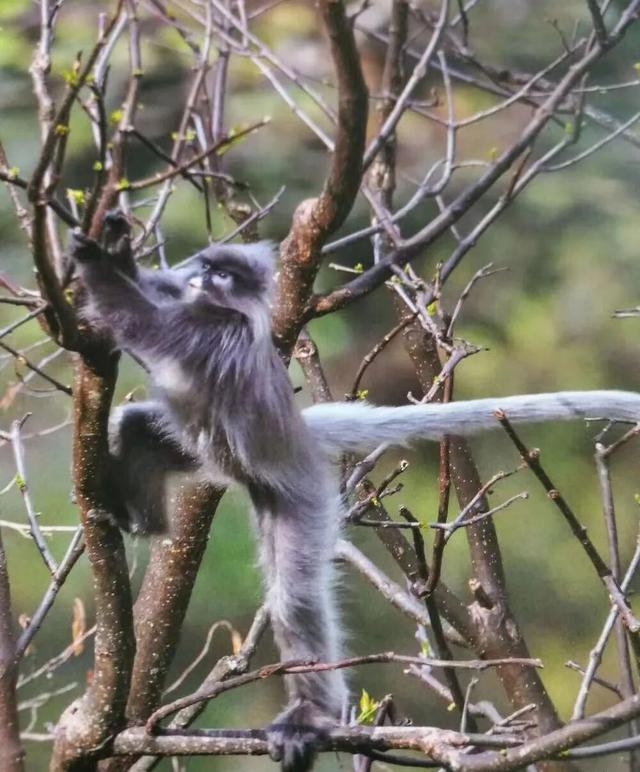 均温25℃，游客仅大理1%！云南这座小城，只有冬天才会被想起